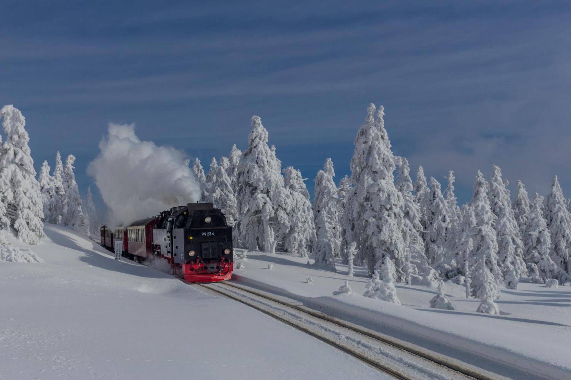 Fewo Schloesschen #Innenstadt#Garten#Ruhige Lage Von Harztraveler Wernigerode Exterior photo